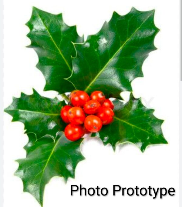 HOLLYBERRY, Ornament - Image 5
